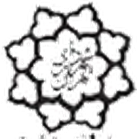 شرکت همکار 4